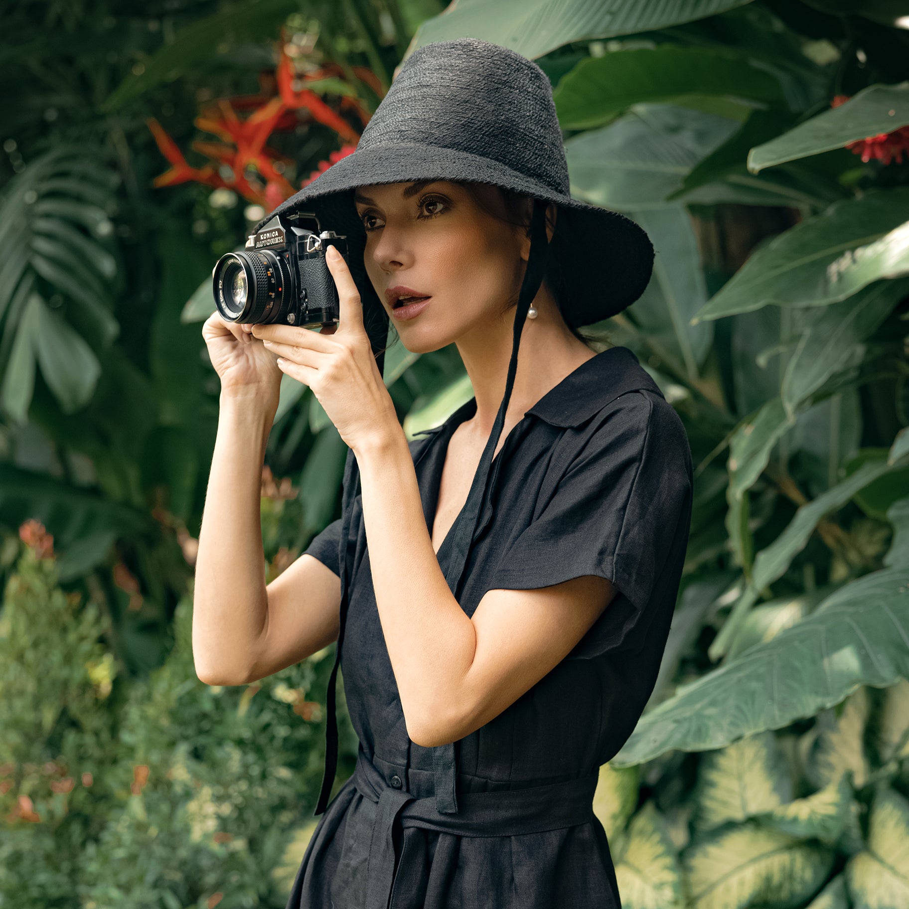 Safari